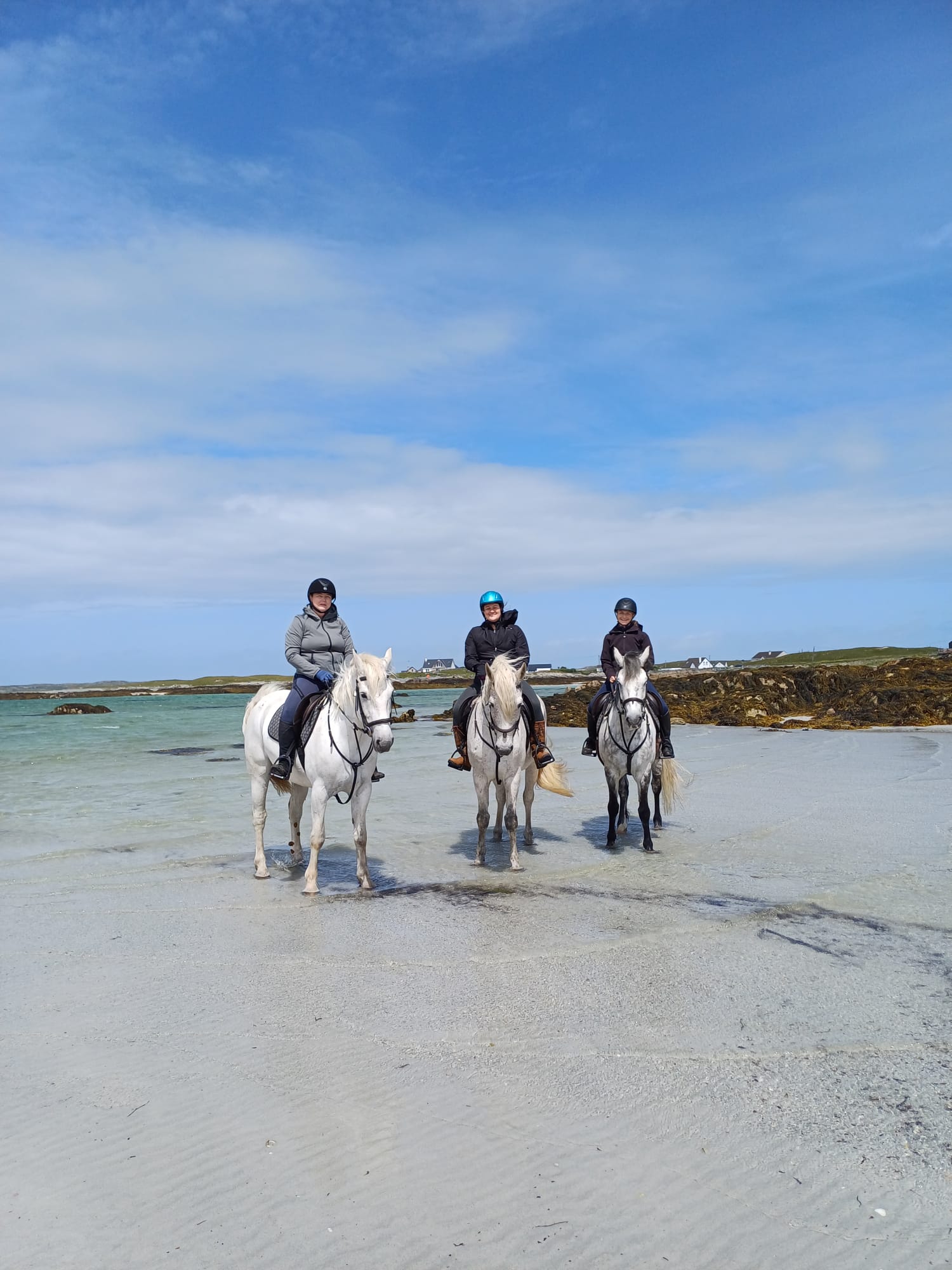 Horseback Riding in West Quarter photo 1
