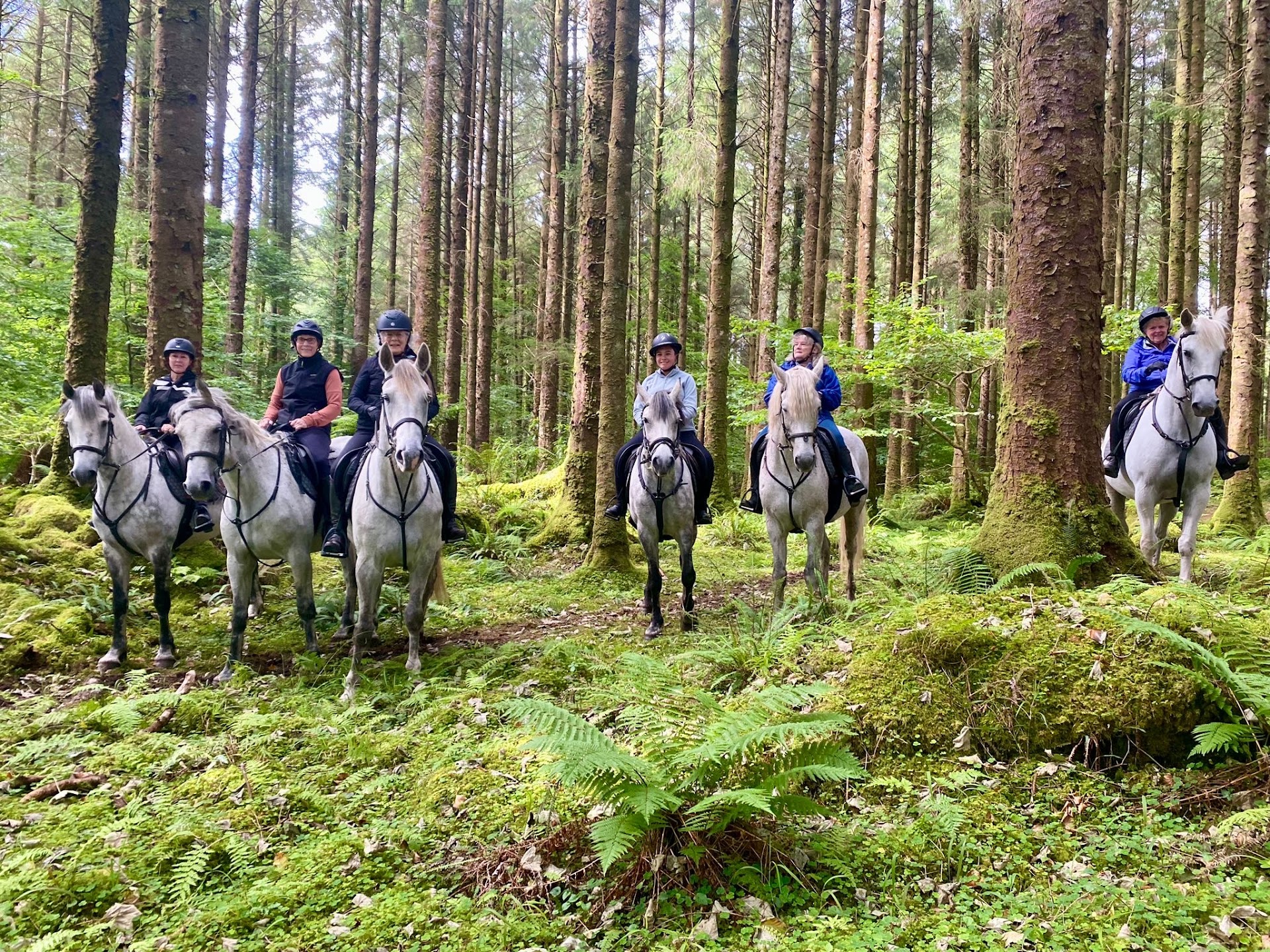 Horseback Riding in West Quarter photo 3