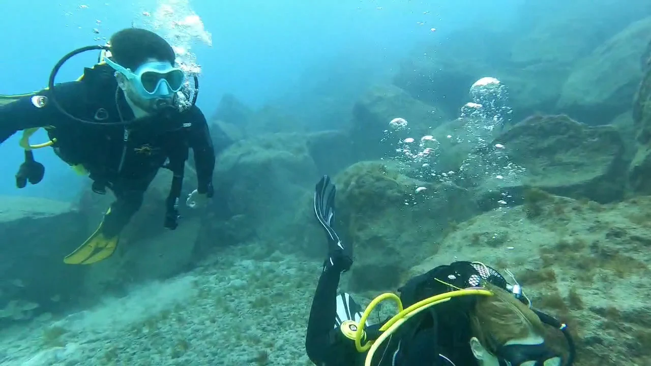 Buceo en Tenerife / Club de buceo Rincón de Arona / Snorkeling en Tenerife / Bautizos