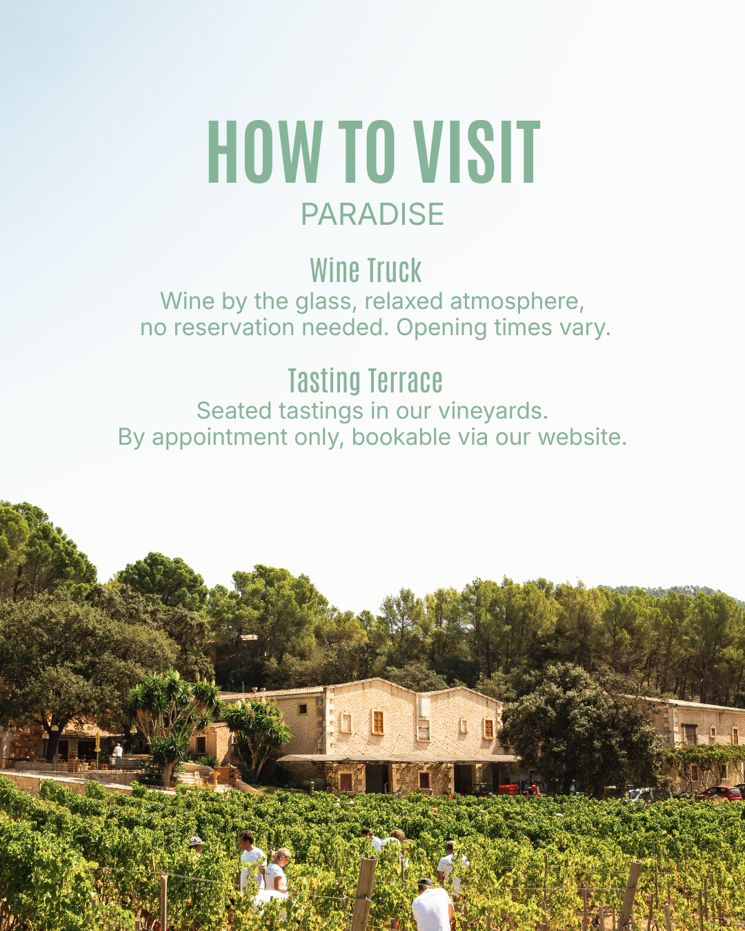 Bodega Terra IóN