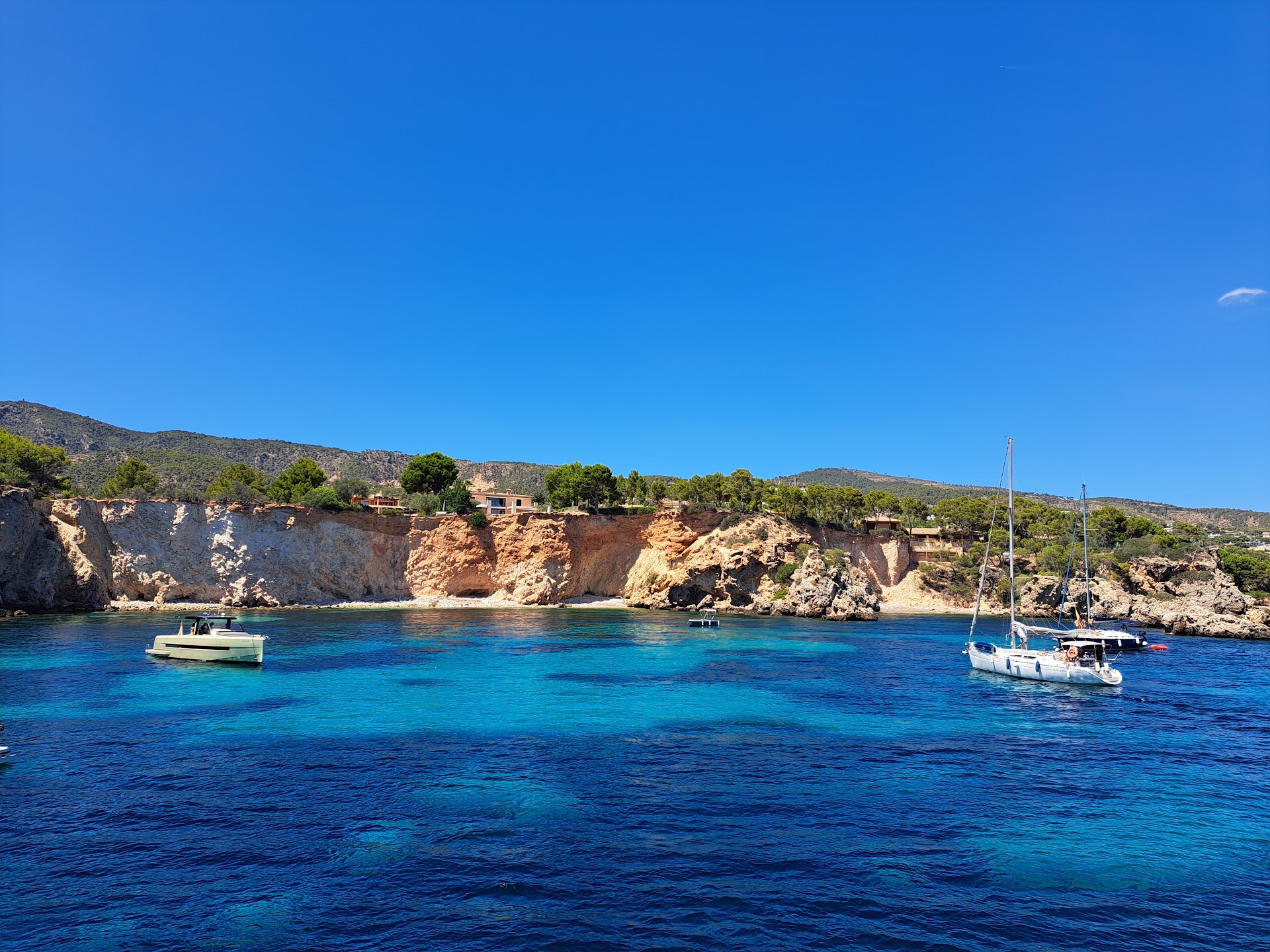 Dolphin Watching in Magaluf photo 1