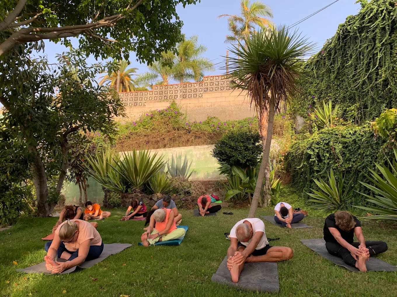 Wellness Retreat in Santa Cruz photo 5