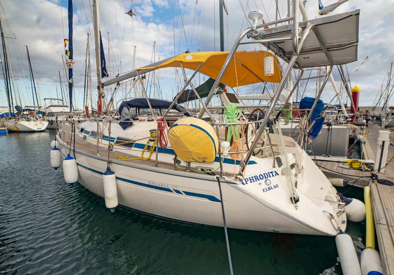 Sailing Excursion in Golf del Sur photo 3