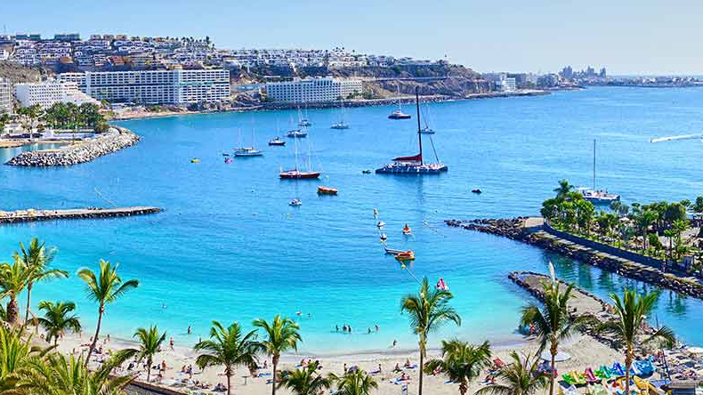 Explore Canary Boat Trips