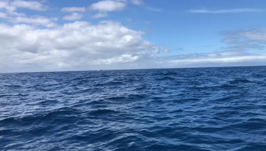 Barco 33