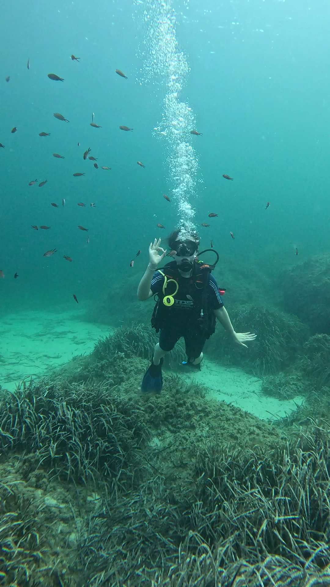 Scuba Courses in Pollença photo 3