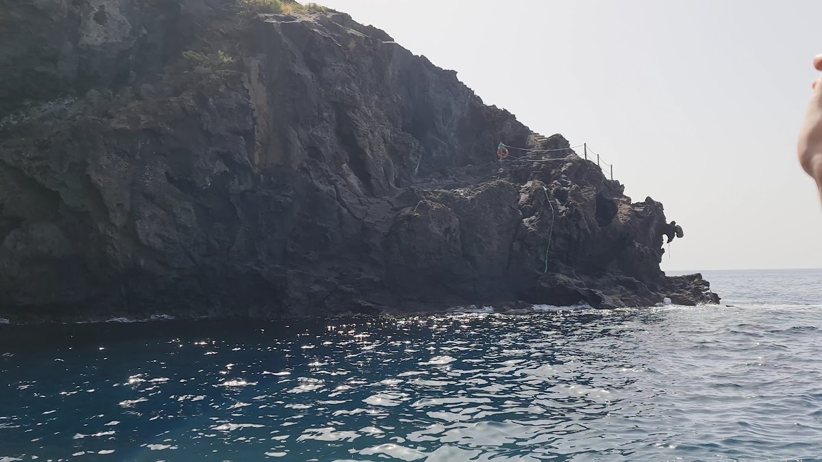 Dolphin Watching in Fuencaliente photo 3