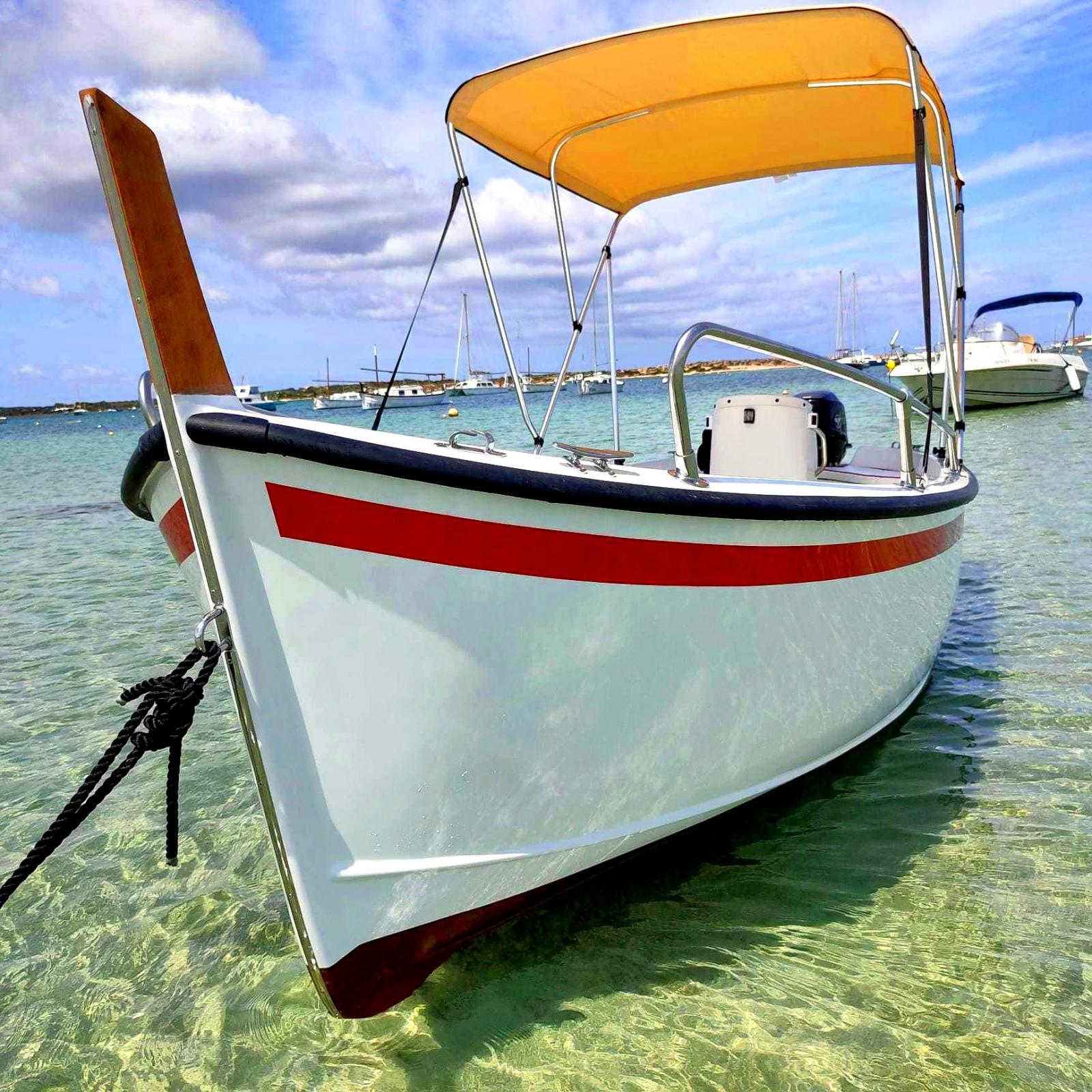 Fishing Charter in La Savina photo 4