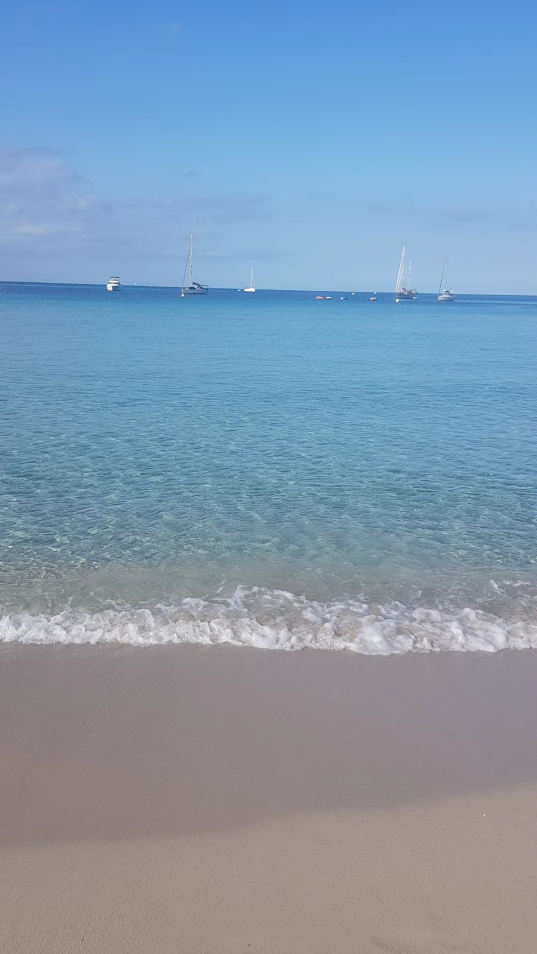 Boat Party in Cala Tarida photo 4