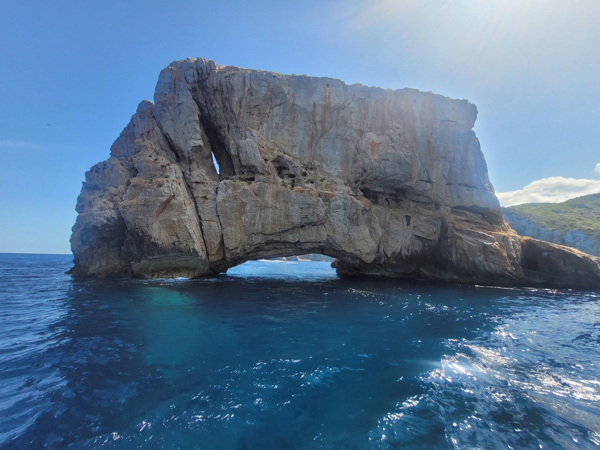 Whale Watching in Cala de Bou photo 5
