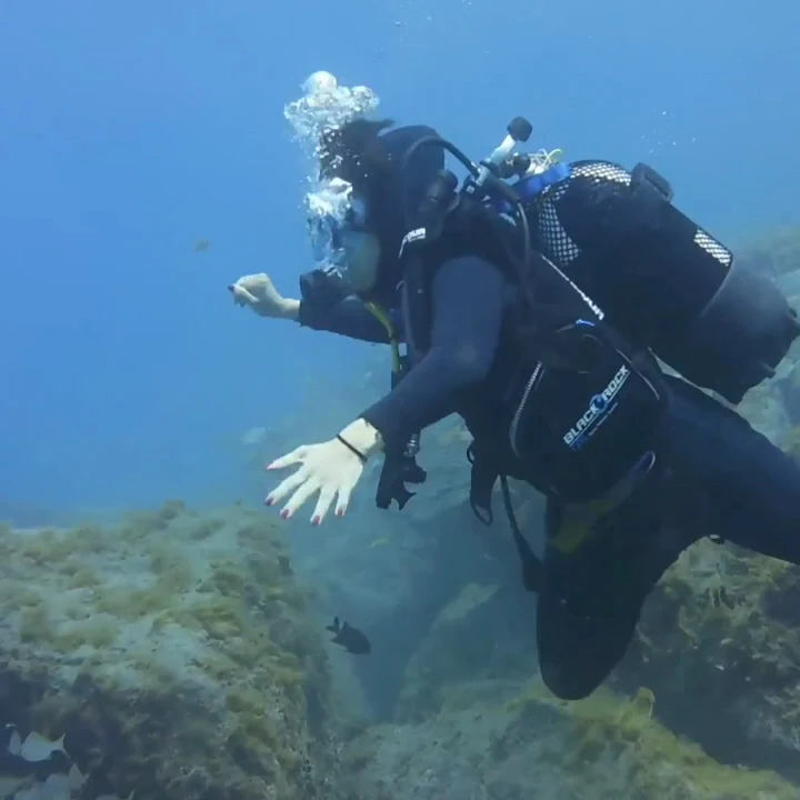 Scuba Courses in Costa Adeje photo 3