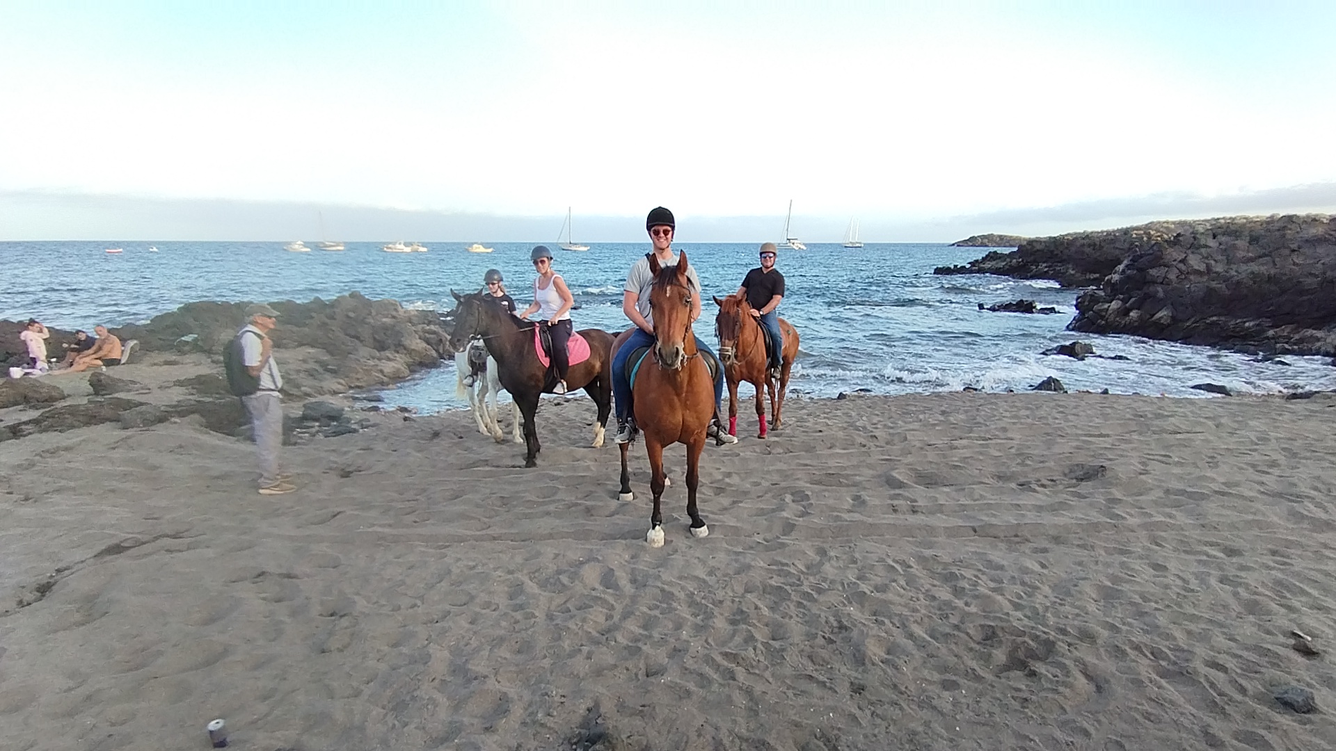 Horse Riding Finca La Bonita rescuehorses