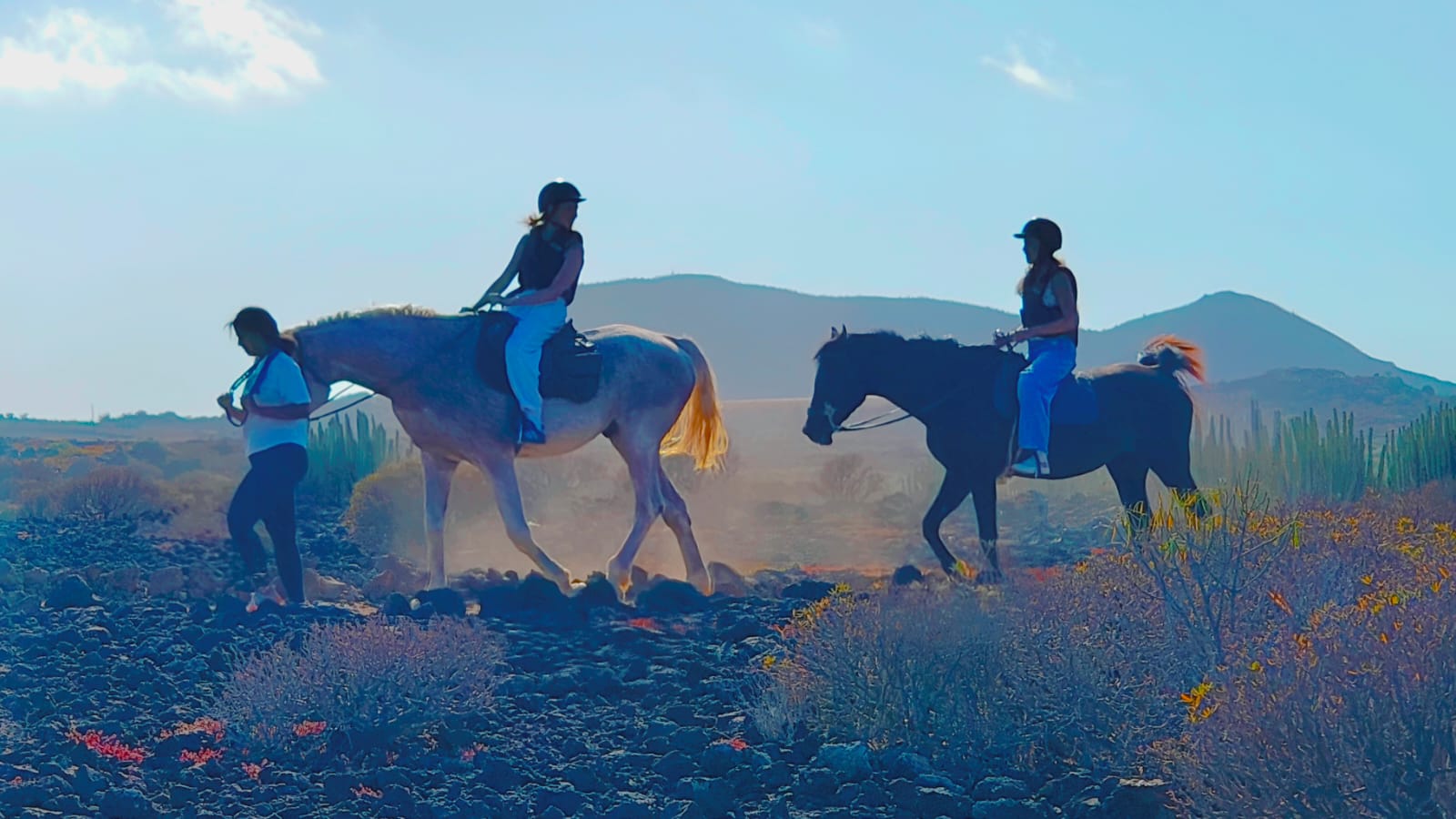 Horseback Riding in La Laguna photo 2