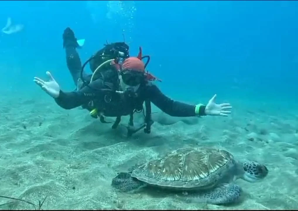 Scuba Courses in La Caleta photo 2