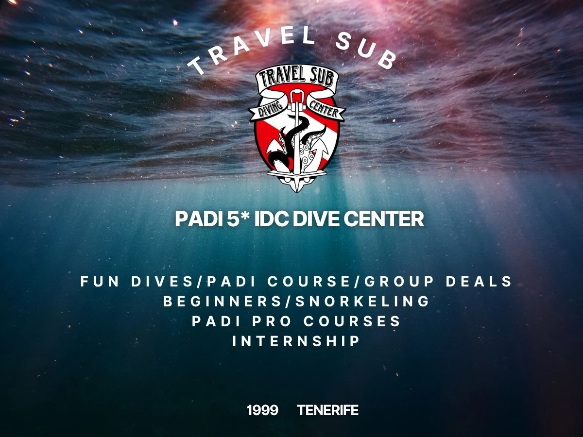 Scuba Courses in La Caleta photo 5