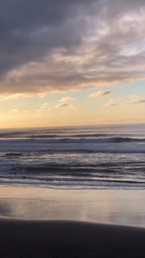 Tropical Waves Surf School