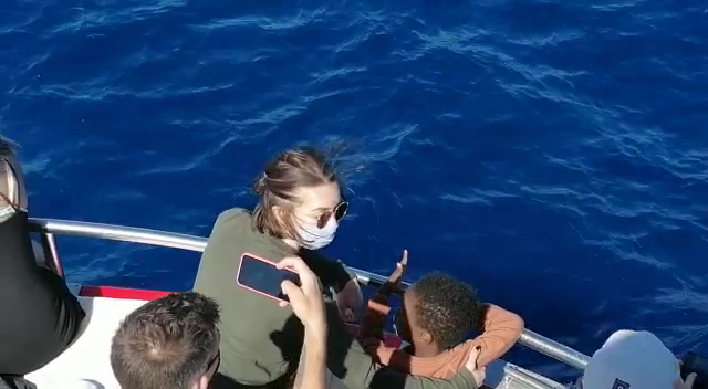 Dolphin Watching in Agaete photo 3