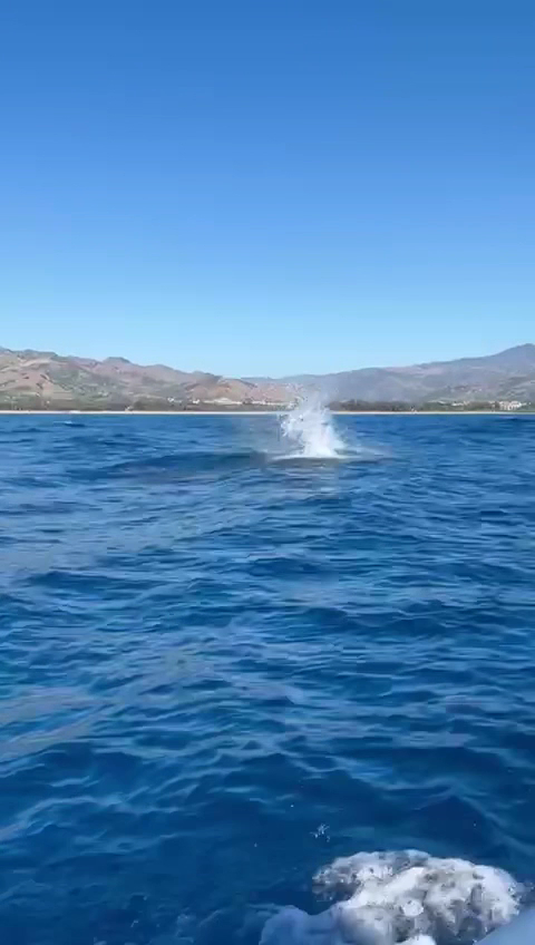 Jetski Rental in Etna photo 3