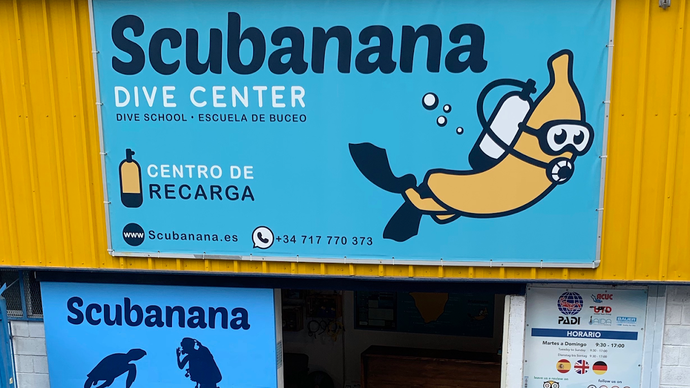 Scuba Courses in La Laguna photo 3