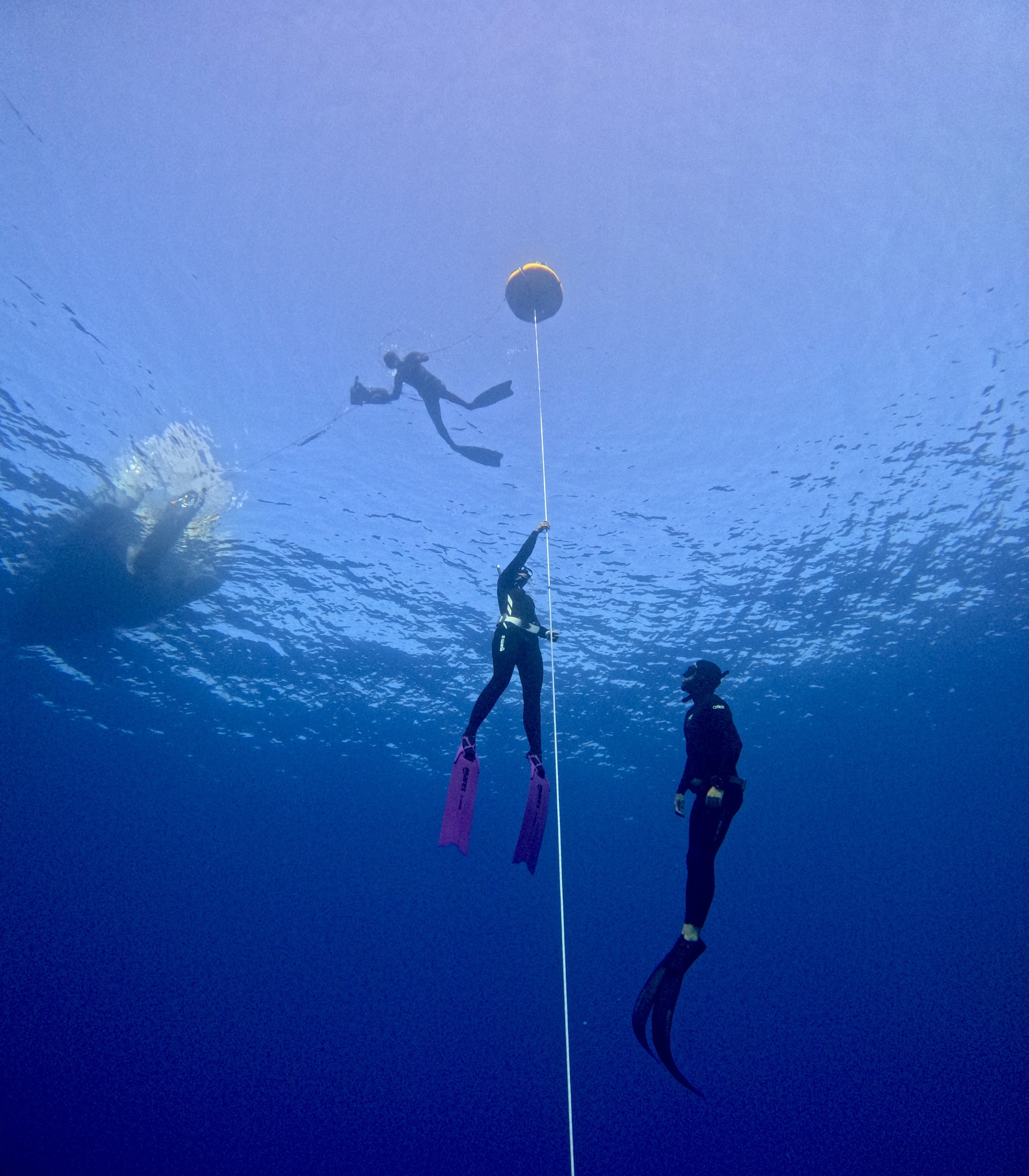 Apulmo Freediving - Centro de Apnea en Mallorca