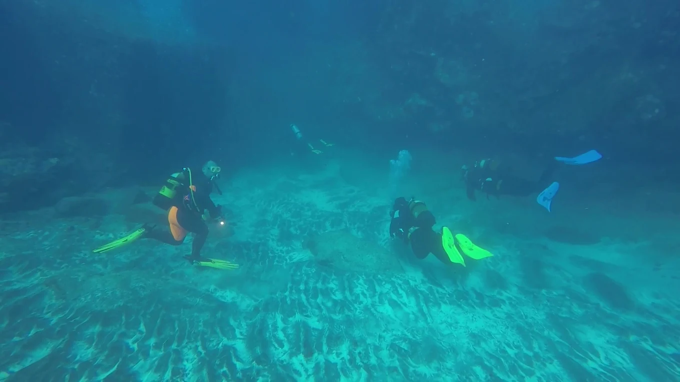Centro de Buceo El Cardumen