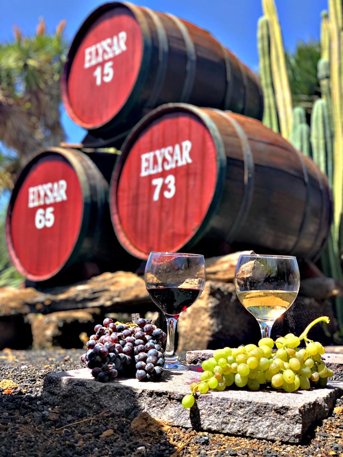 Bodega El Lomo