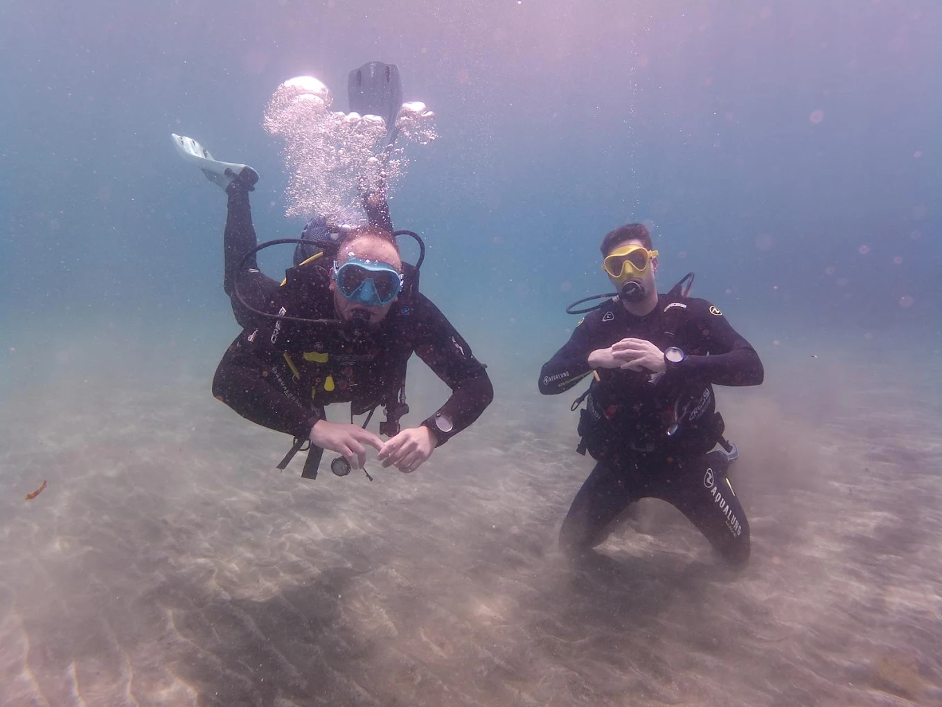 Freediving in El Médano photo 4