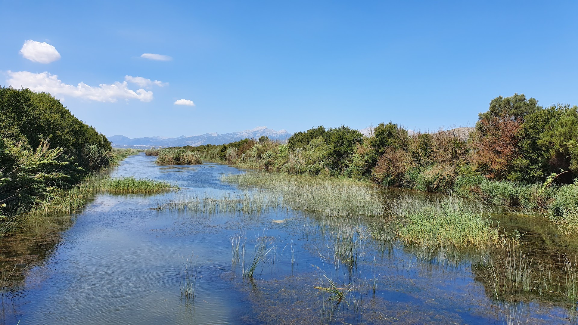 Parque Natural de s'Albufera