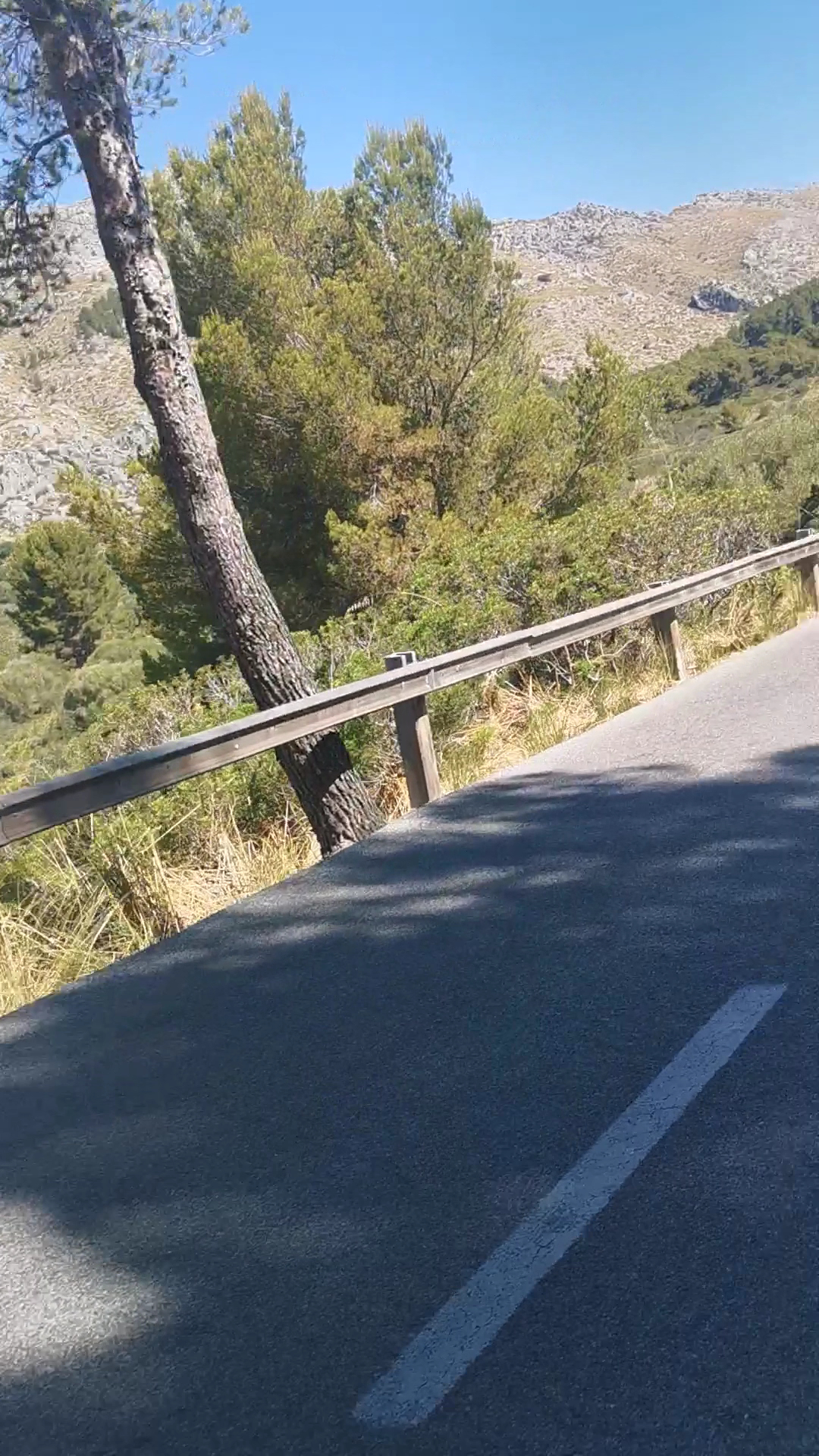 Mountain Bike Rental in Puerto Pollença photo 3