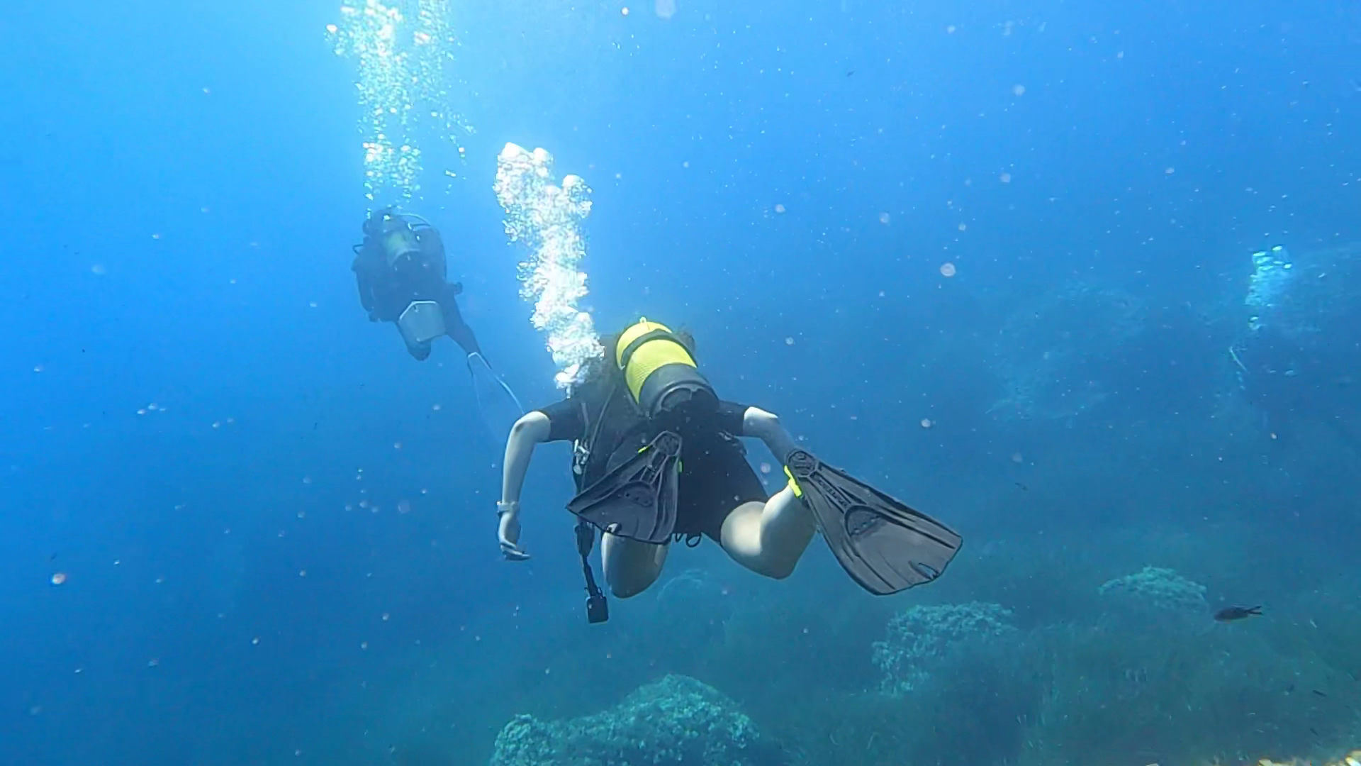 Scuba Courses in Cala Galdana photo 3