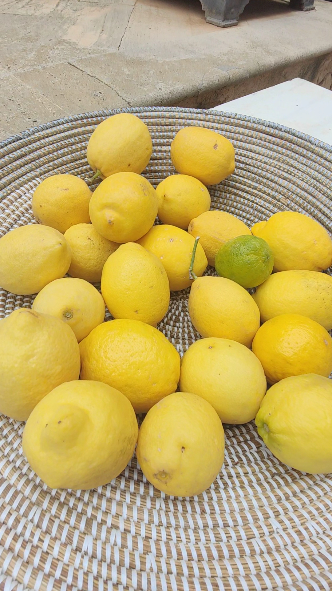 Wellness Retreat in Cala d'Or photo 4