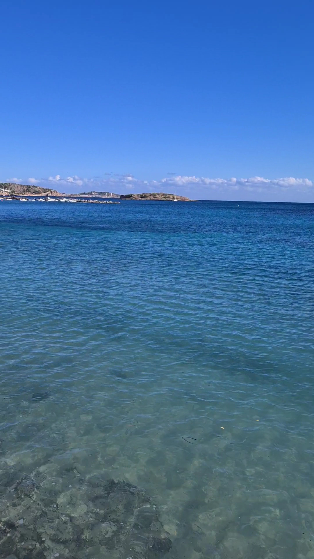 Champagne Cruises in Playa d'en Bossa photo 3