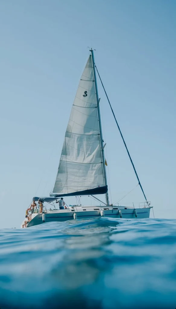 Catamaran Cruise in Los Gigantes photo 4