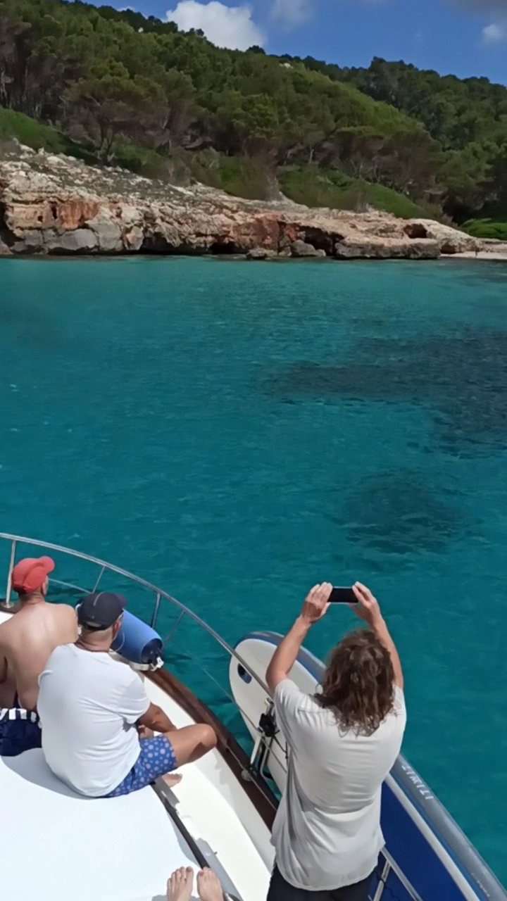 Whale Watching in Cala Macarella photo 2