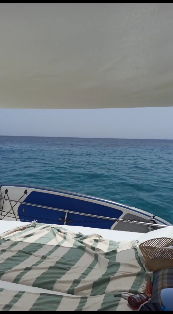 Whale Watching in Cala Macarella photo 3