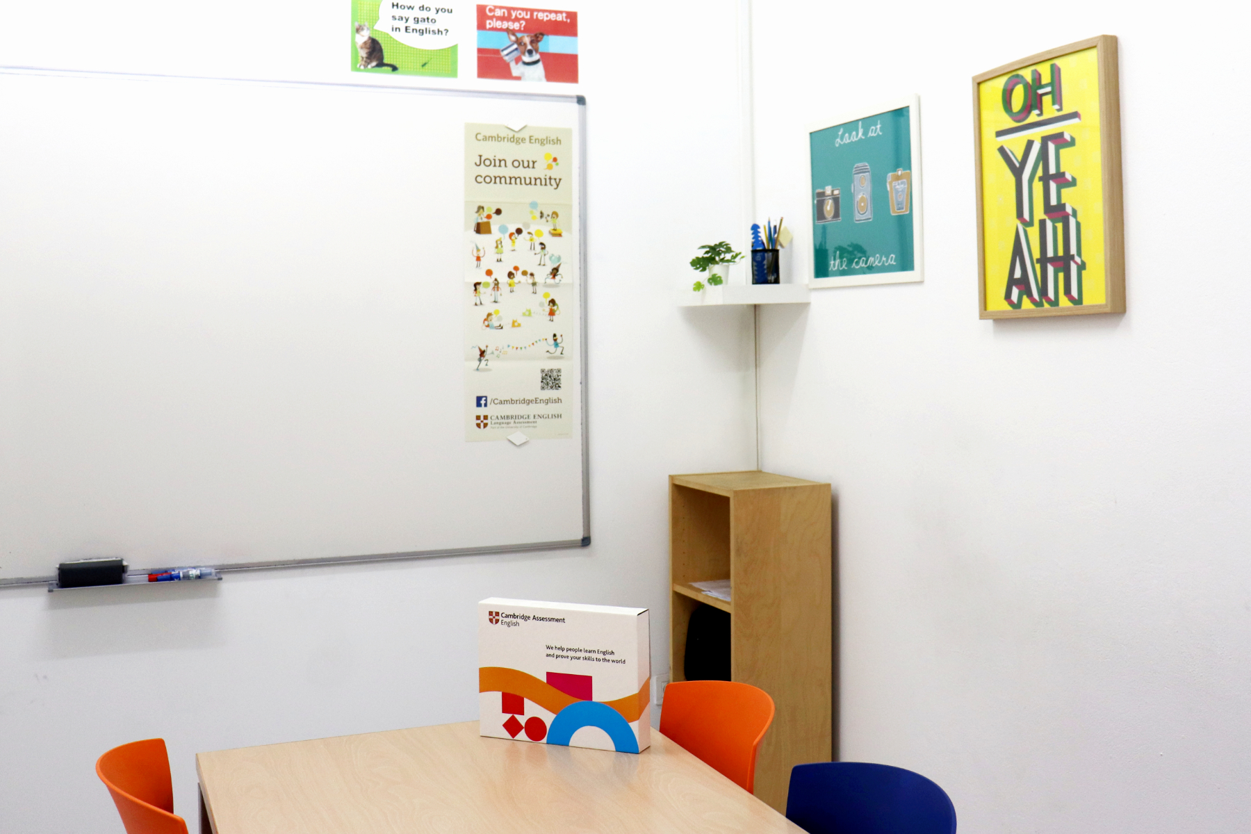 Language Schools in canary islands (spain) photo 2