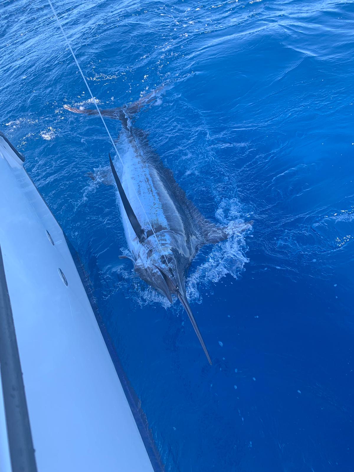 Fishing PR photo 5