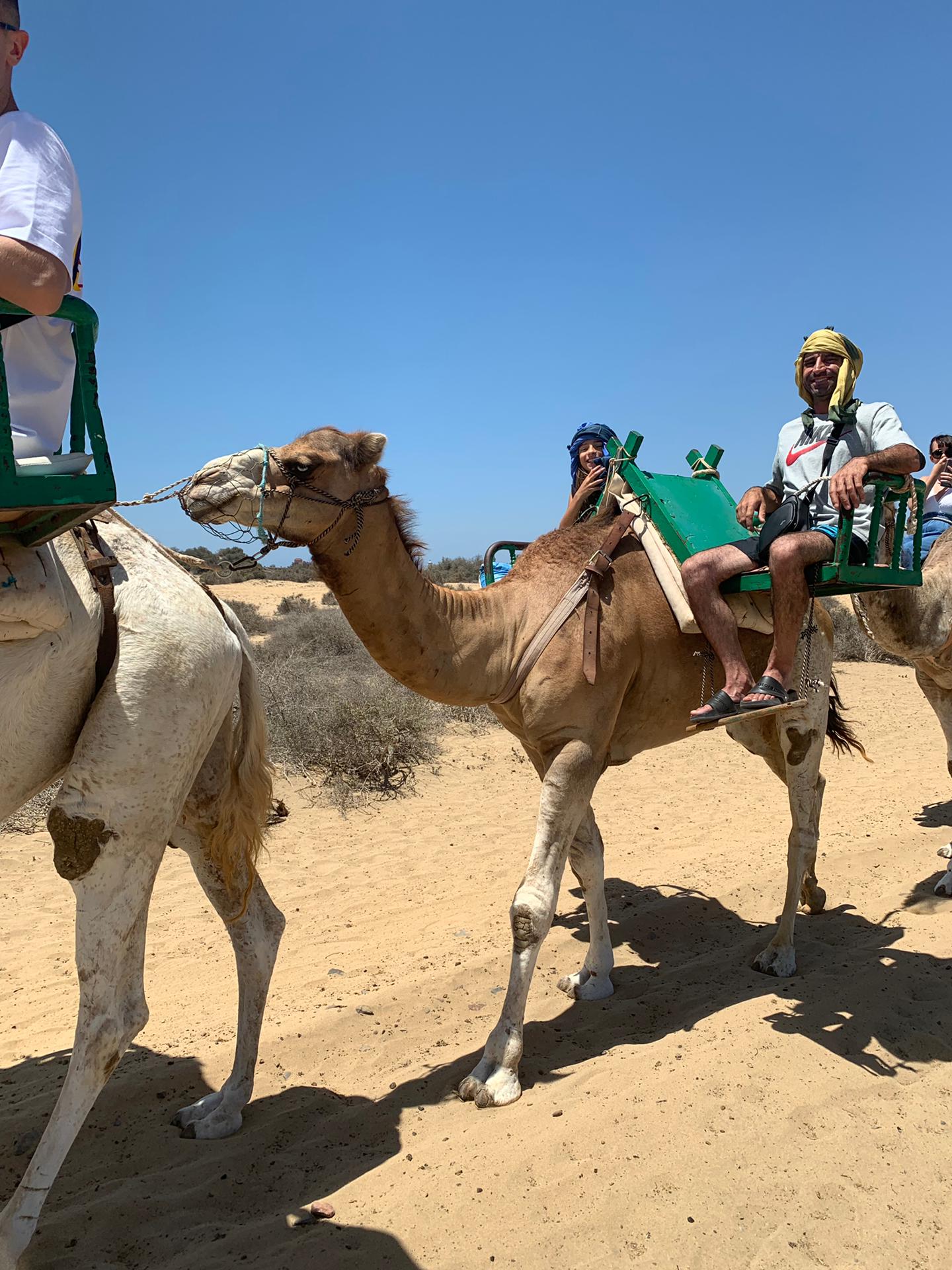 Camel Safari Park