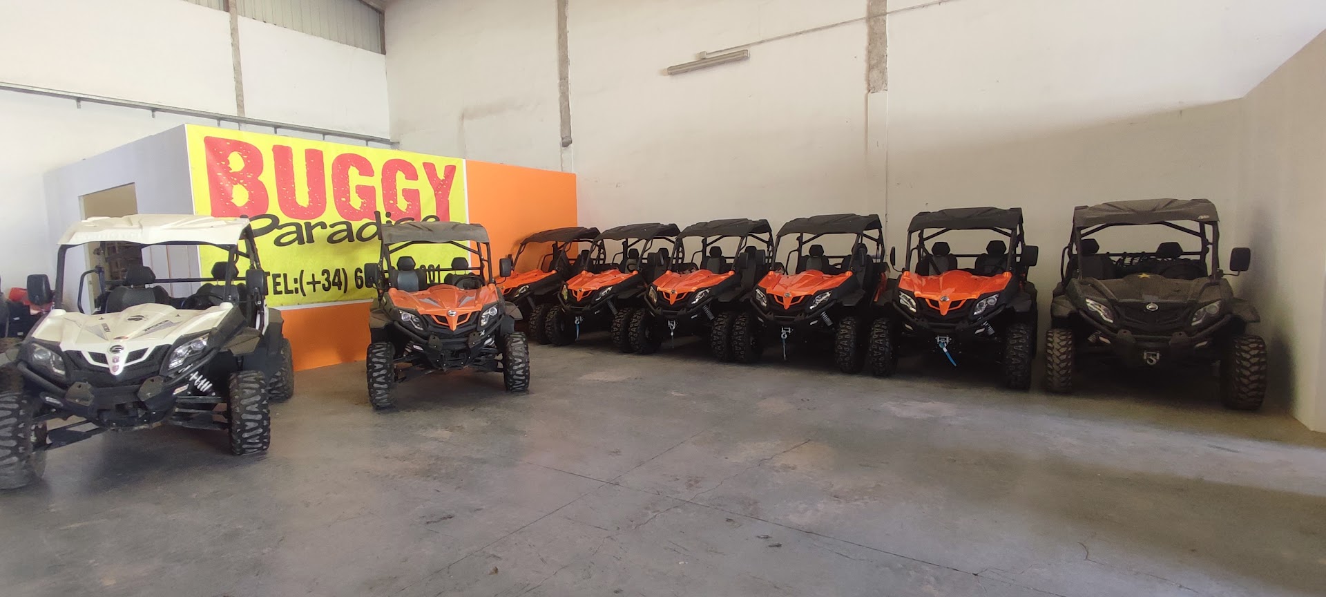 Quad & Buggy Tours in Playa de las Américas photo 5