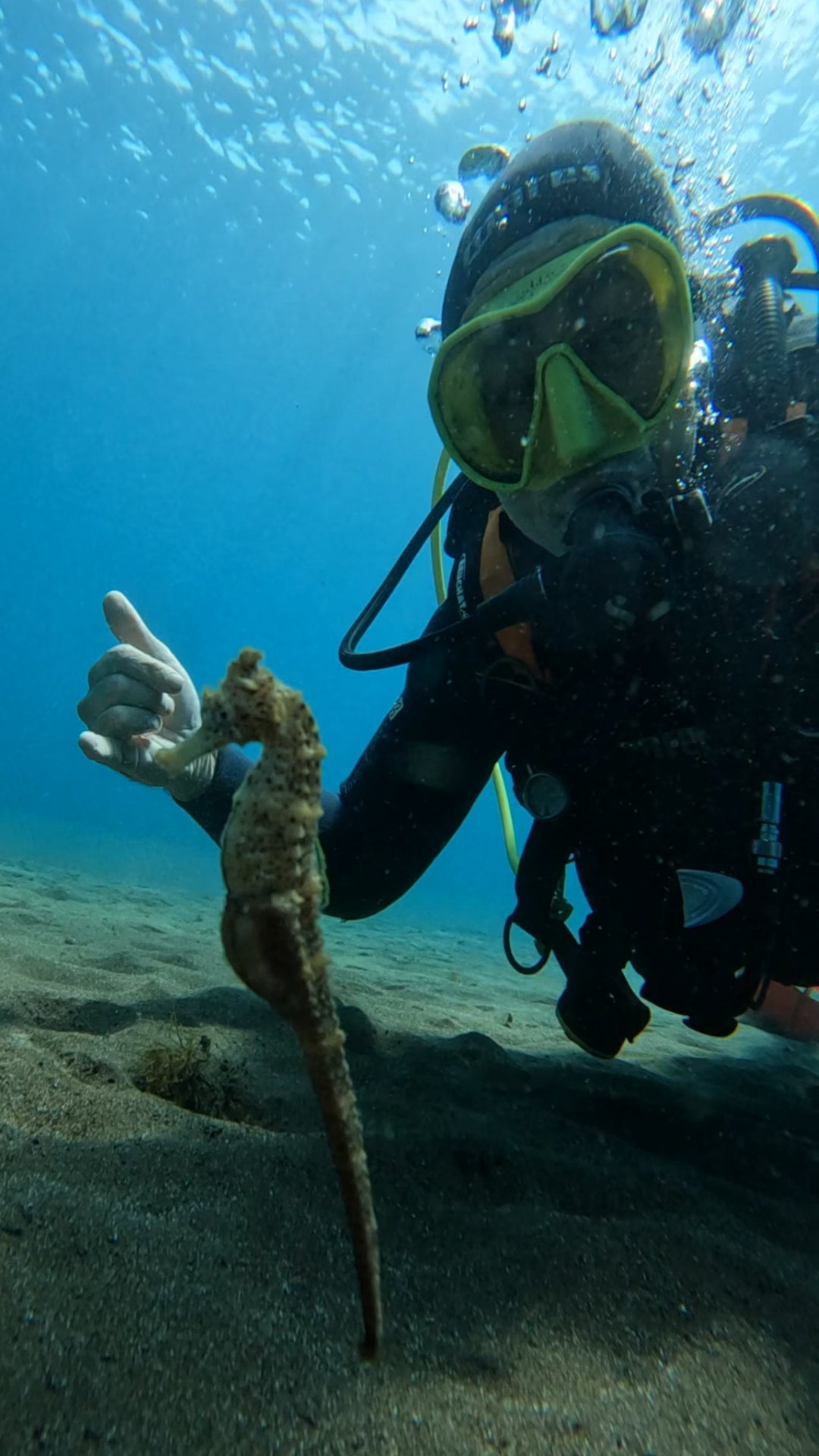 Karapat Dive Gran Canaria