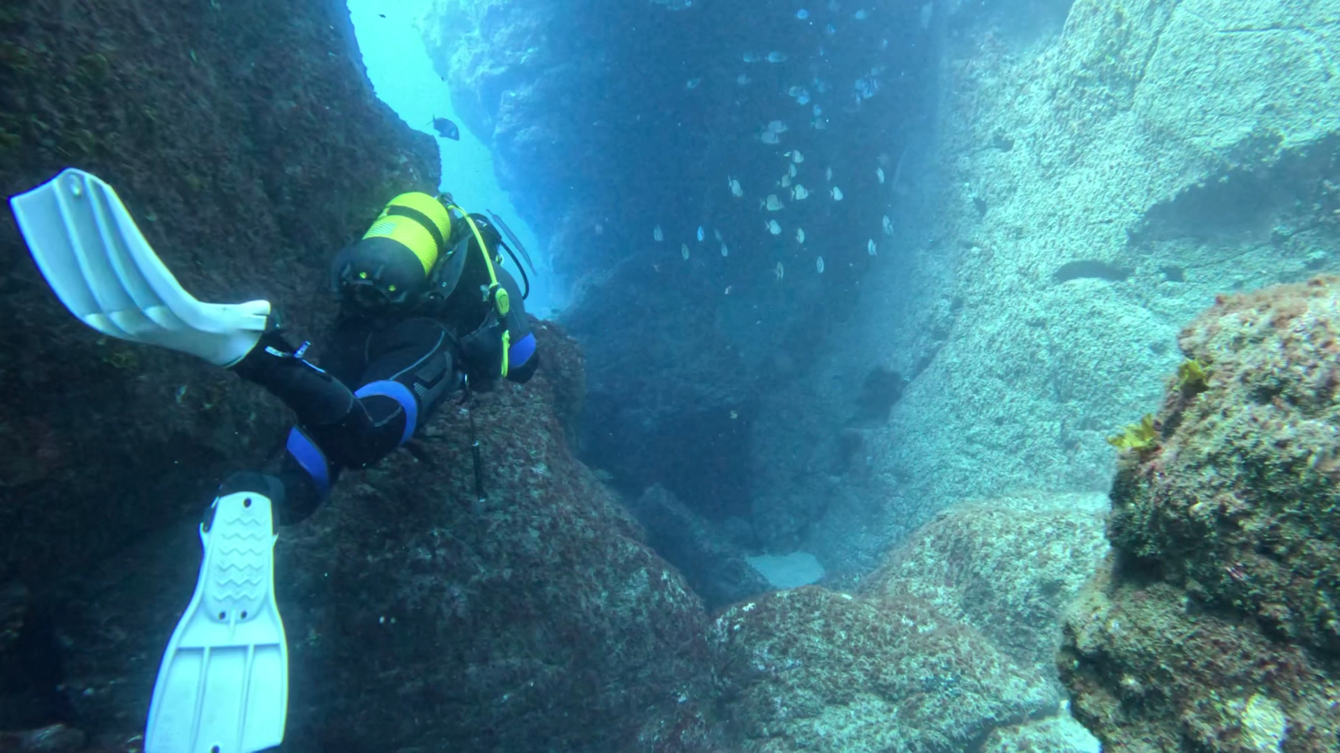 Snorkeling in Teror photo 3