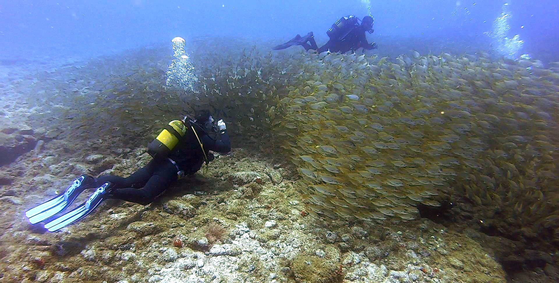Snorkeling in Teror photo 5