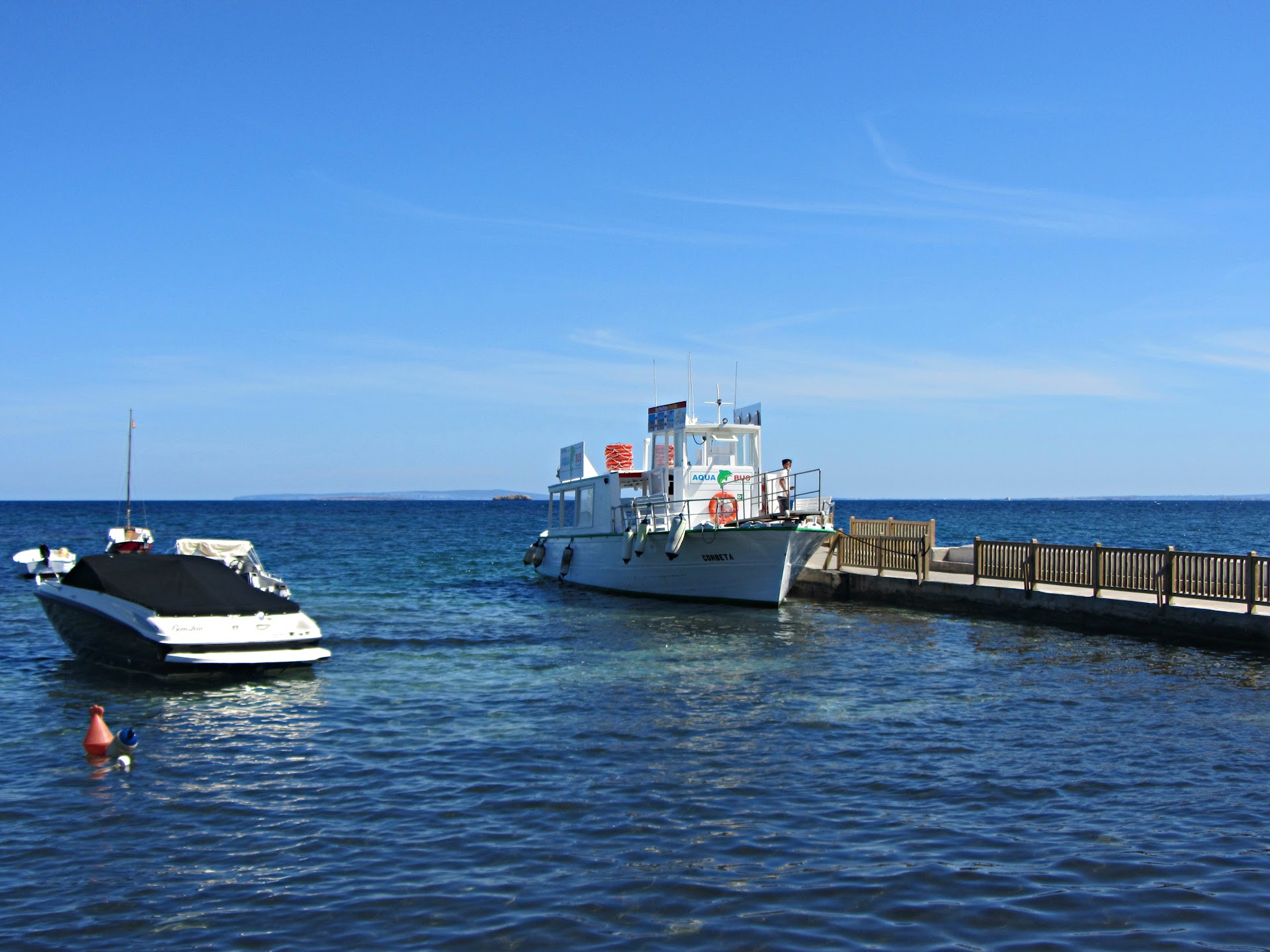 Family Boat Trips in Figueretas photo 1
