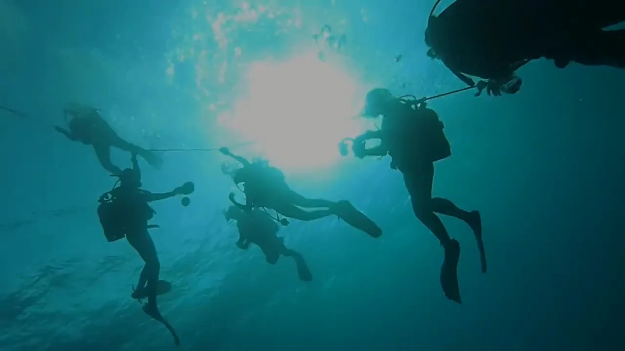 Deep Ocean Diver - PADI Dive Center
