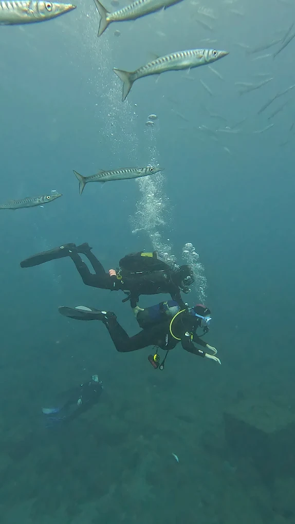 Scuba Courses in La Orotava photo 4