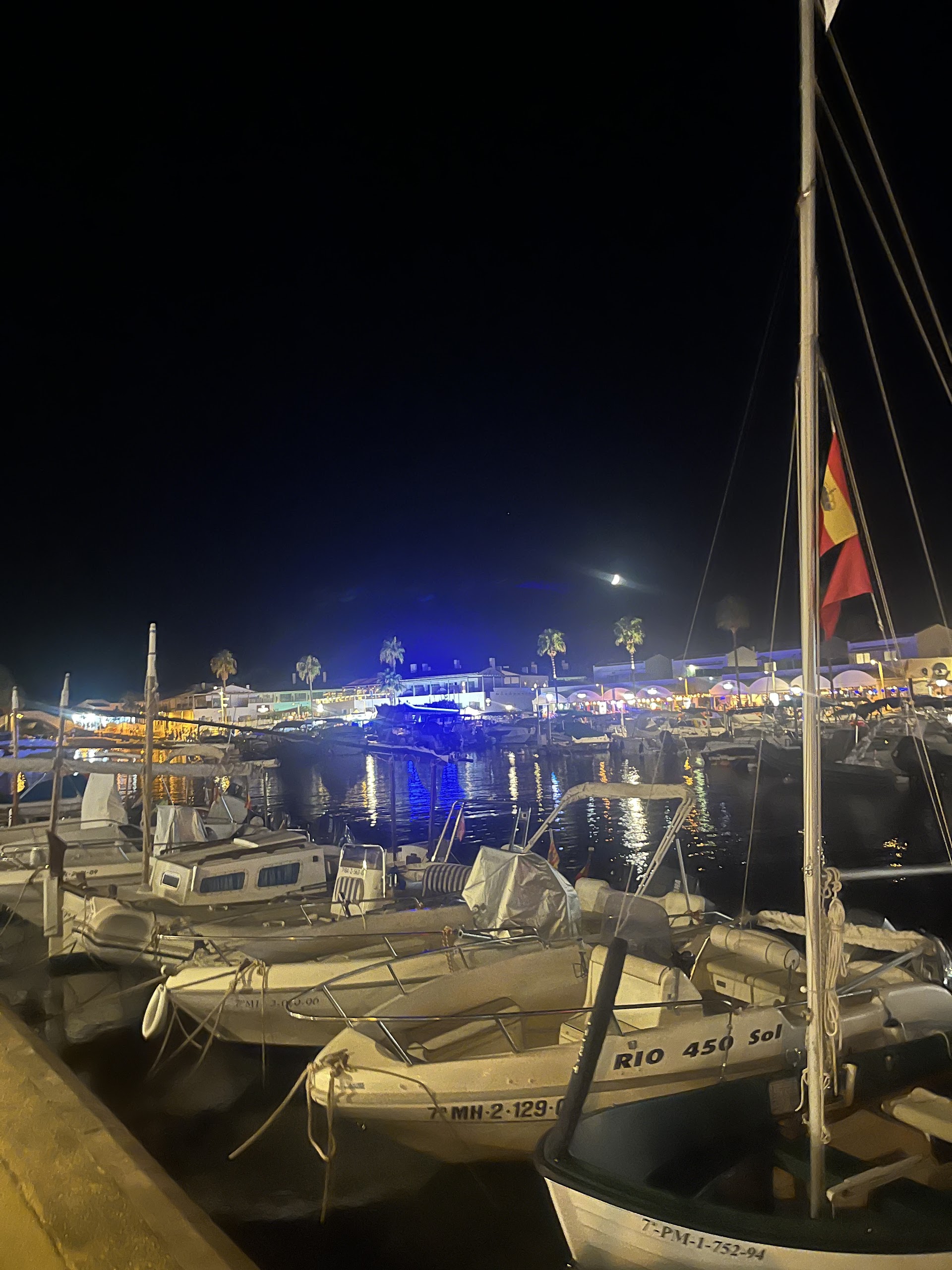 Family Boat Trips in Cala en Bosch photo 4