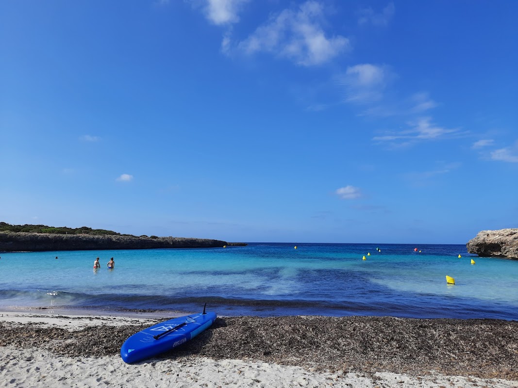 Paragliding in Cala en Bosch photo 5