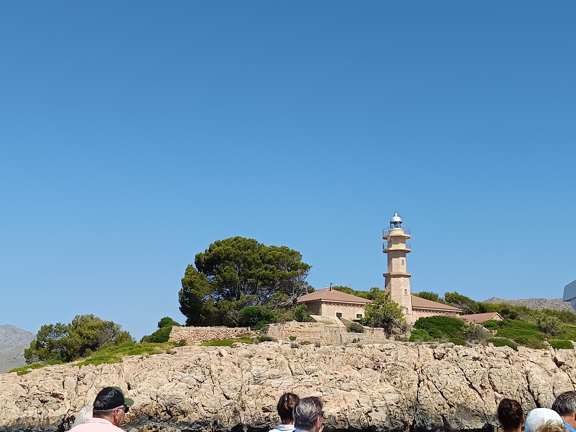 Dolphin Watching in Puerto Pollença photo 2
