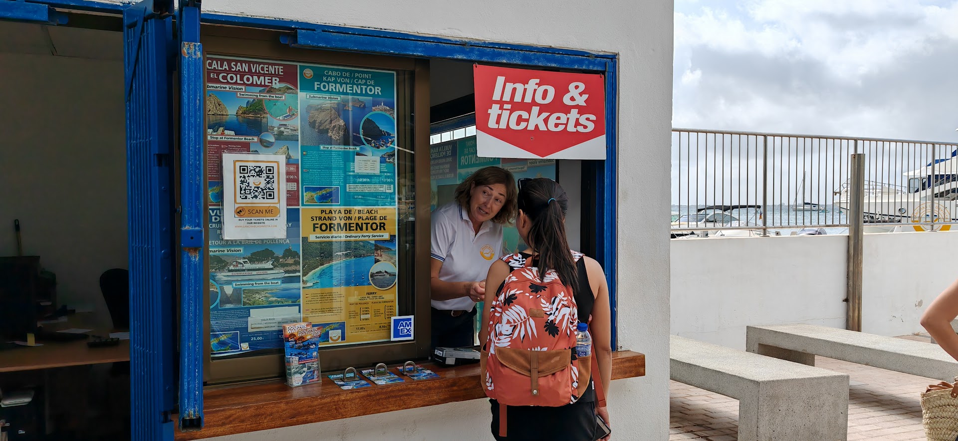 Dolphin Watching in Puerto Pollença photo 4
