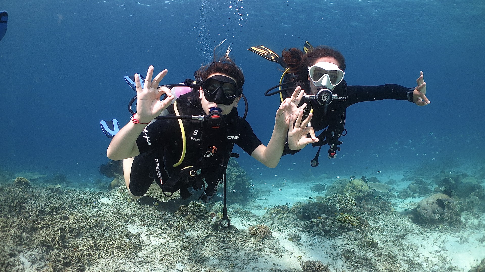 Scuba Courses in gili air photo 4